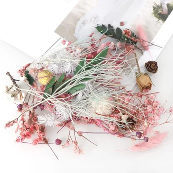1 Box Smíšené Barevné Skutečné Sušené Květiny Rostliny Pro Umění, Řemeslo Scrapbooking Aromaterapeutická Svíčka Epoxidové Pryskyřice DIY Příslušenství 8326