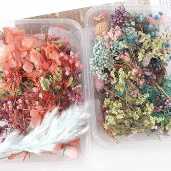 1 Box Smíšené Barevné Skutečné Sušené Květiny Rostliny Pro Umění, Řemeslo Scrapbooking Aromaterapeutická Svíčka Epoxidové Pryskyřice DIY Příslušenství